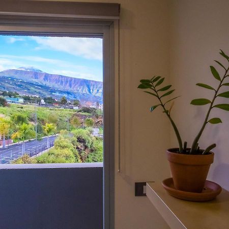 3Br Home - Teide Views Balcony - Wifi 拉奥罗塔瓦 外观 照片